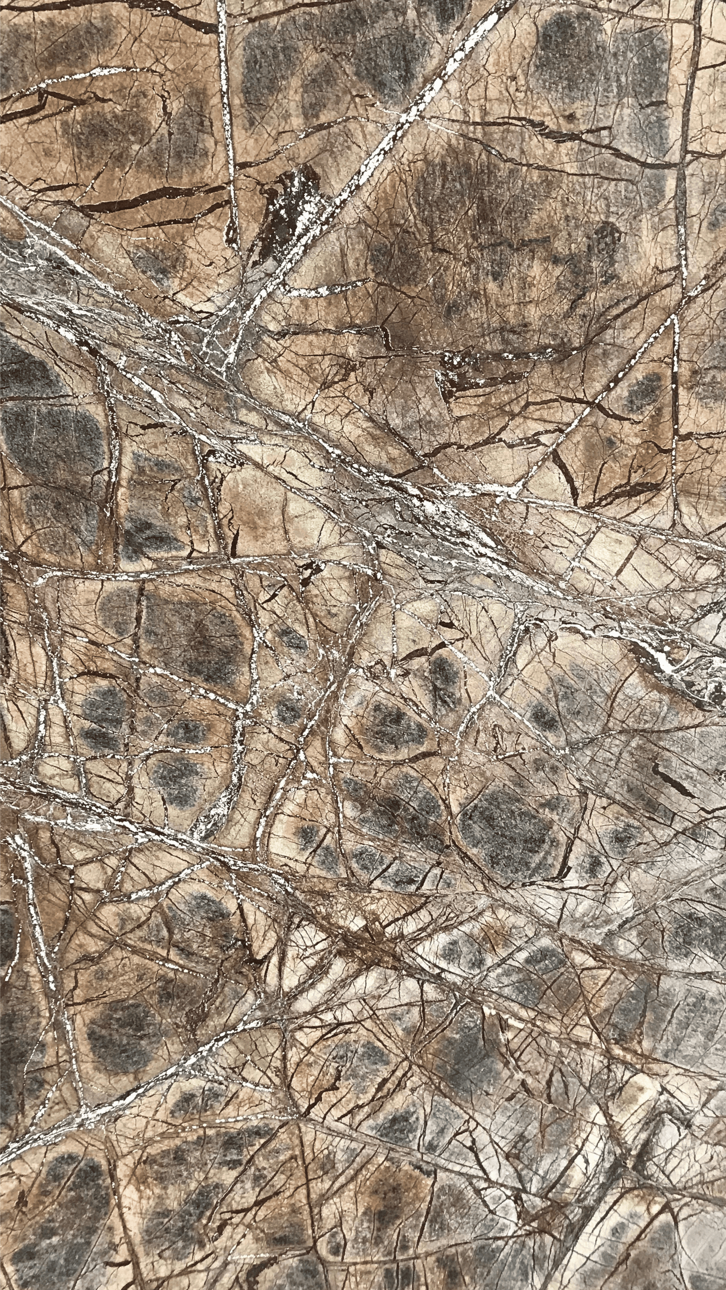 LEATHERED RAINFOREST BROWN MARBLE