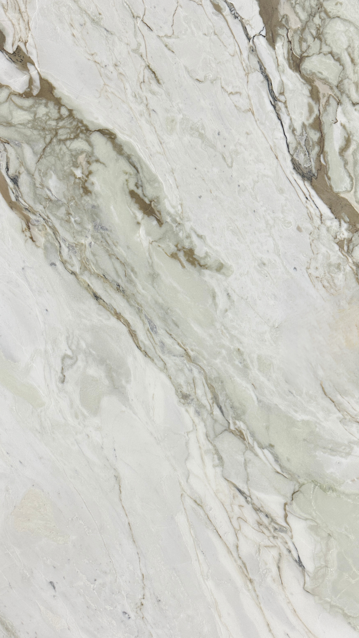 CALACATTA BONEARO HONED MARBLE