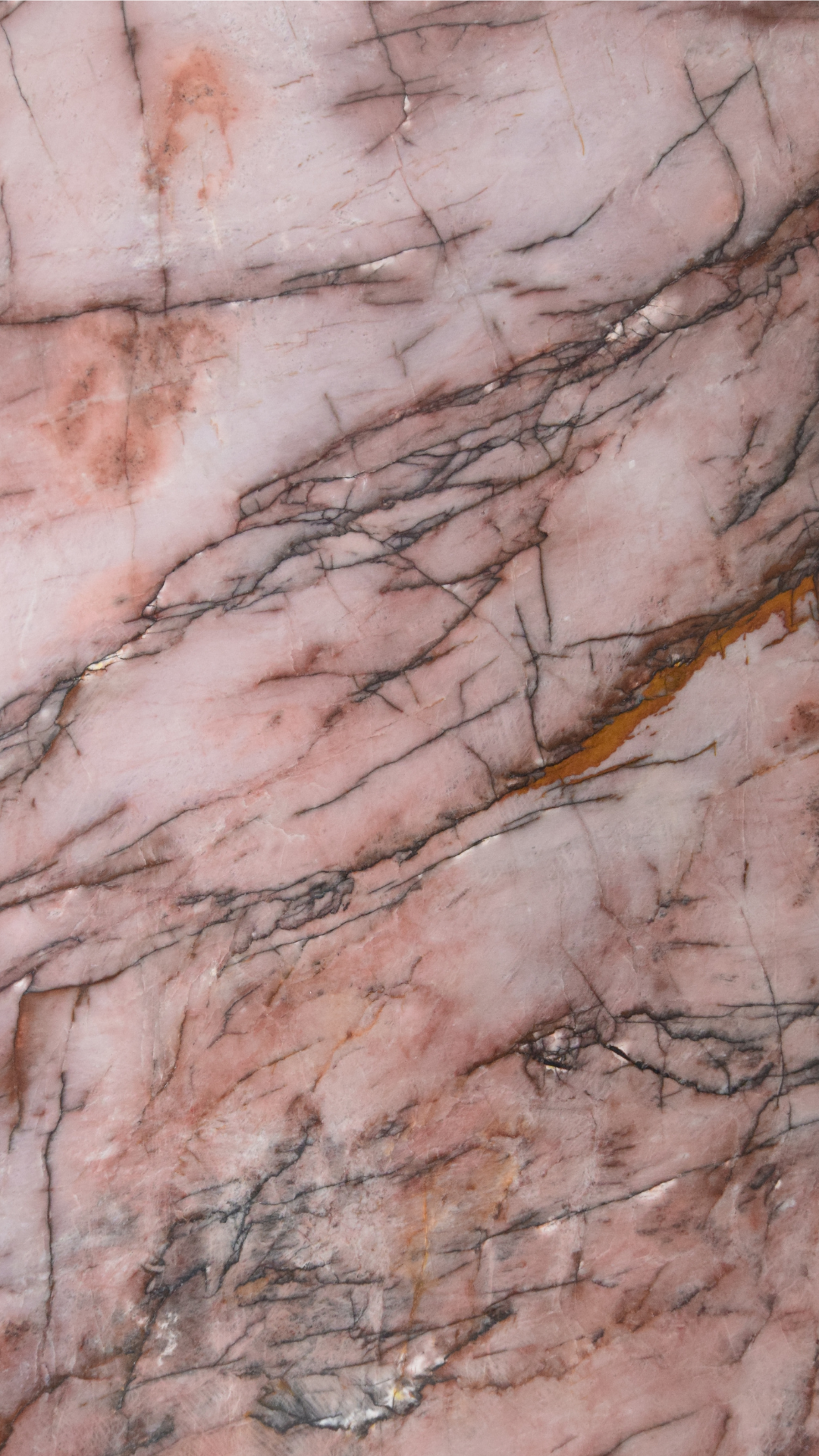 COSMOPOLITAN POLISHED QUARTZITE