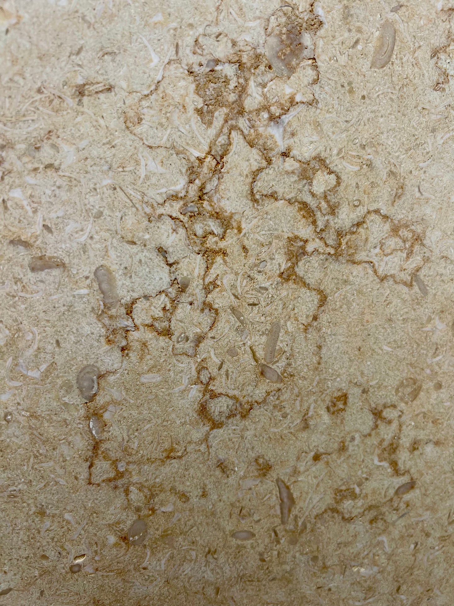 EGYPTIAN TRAVERTINE