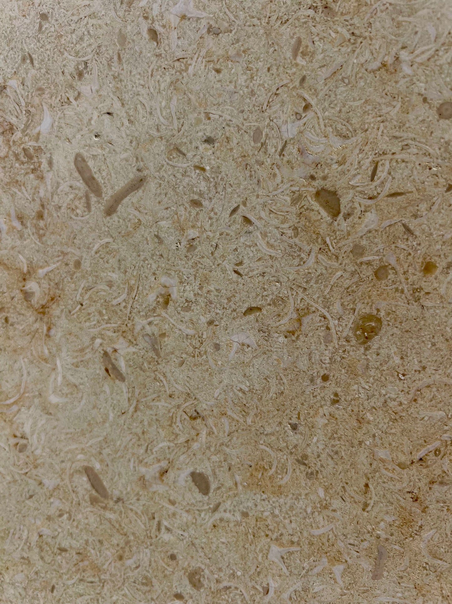 HONED BEIGE LIMESTONE